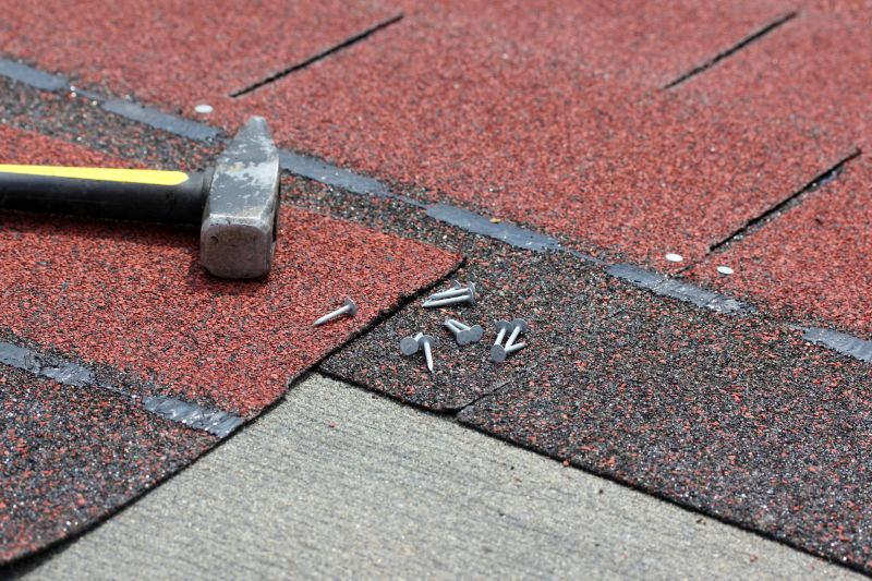 Professional Asphalt Shingle Repair 1