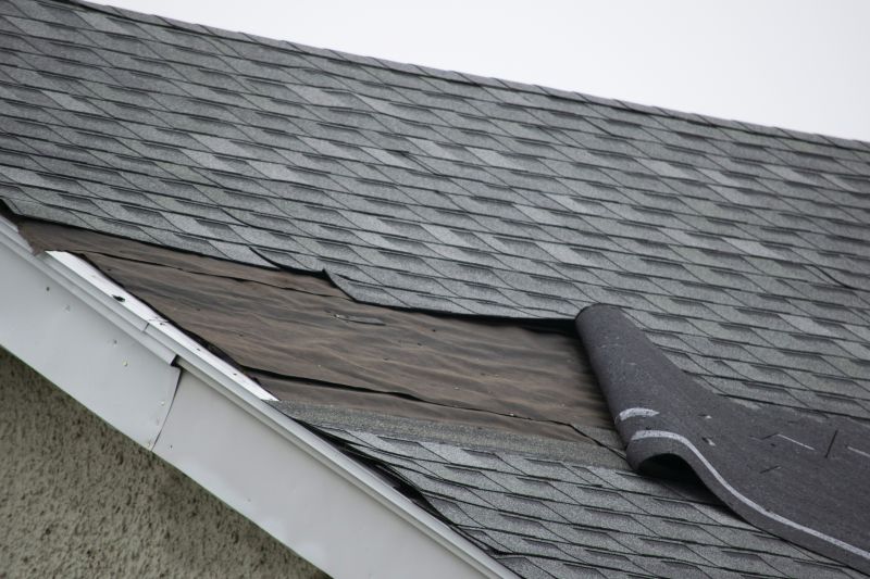 Asphalt Shingle Roof Repair Image 1