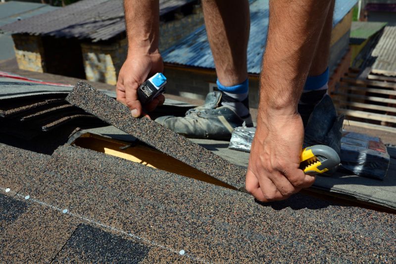 Asphalt Shingle Repair Service 1