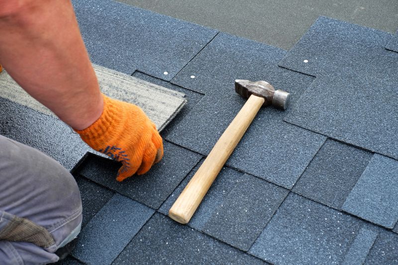 Asphalt Shingle Repair Service 4